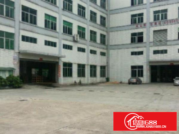 万江标准1500平方800或1000㎡出租交通方便