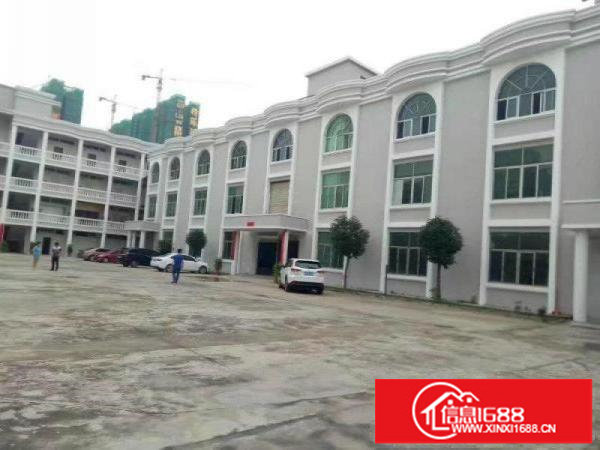 丹竹头2楼厂房1000平米出租200平米起分租