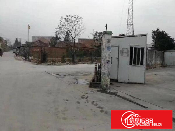 狮山工业区独院简易厂房出租，租金便宜