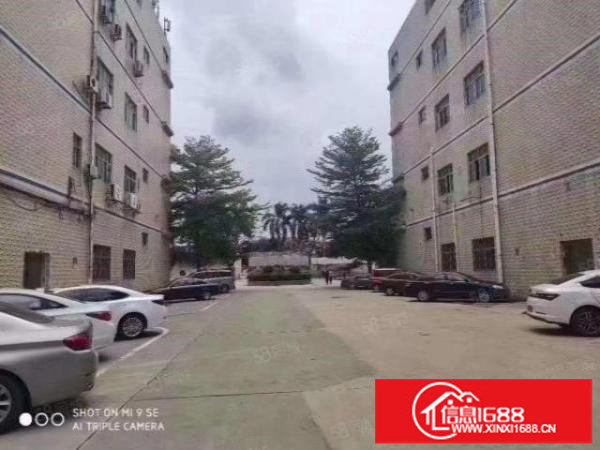 松岗燕川标准厂房出租一楼1350平方带牛角