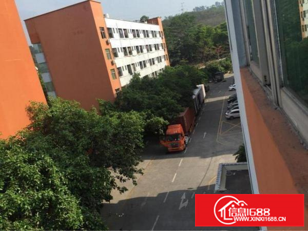 横岗四联整层1000平方出租，有电梯