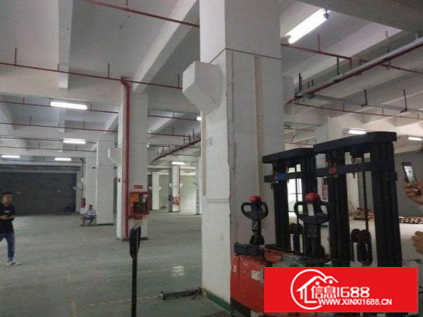 坂田一楼原房东1810平厂房可分租自带牛角