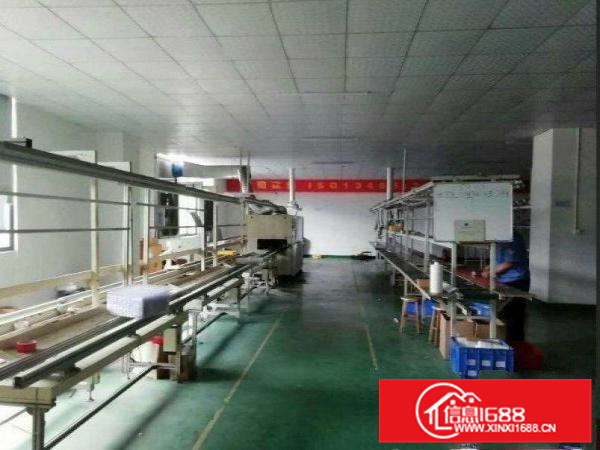 惠阳新墟东江工业区独栋厂房1980平方米出租