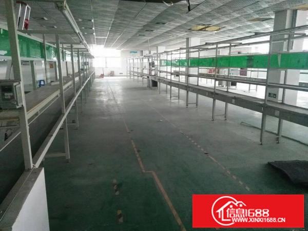 新田新出3楼1300平方带装修