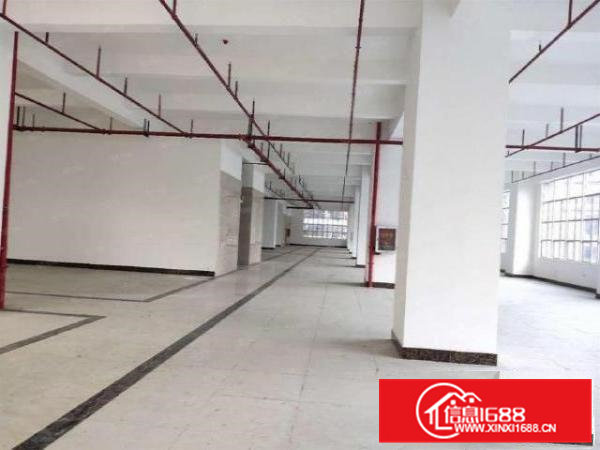 企石东平村1300平红本厂房出租可申请高新补贴