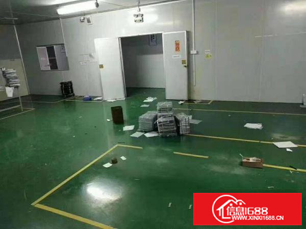 出租寮步镇上屯工业区自己的房子价格便宜