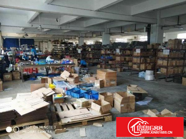 松岗山门1300平厂房出租，公摊小，可环评，实图