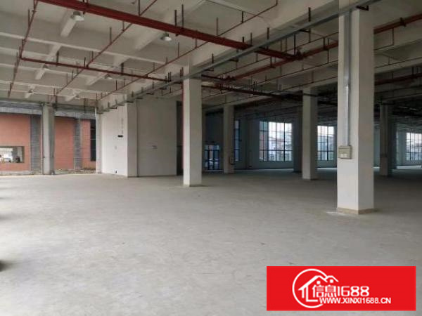 沙头全新自建厂房出租