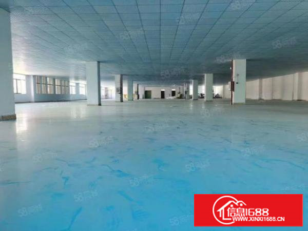 长安沙头金宝电子旁标准厂房2000平厂房出租可分租