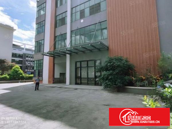 金凤凰原房东厂房分租一层