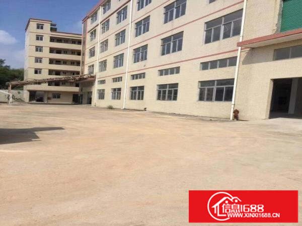 宝龙独院红本厂房9900平方米招租3年至10年也可分层租