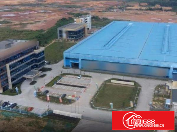 出租高明区明城豪华精装综合楼带员工宿舍