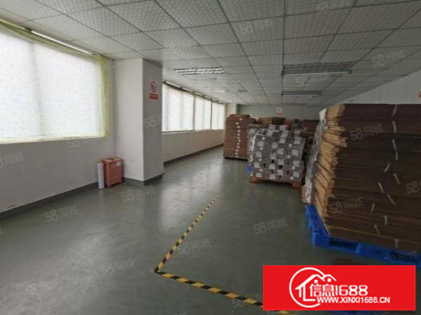 光明观光路南侧白花洞工业园23楼出租4200价格便宜