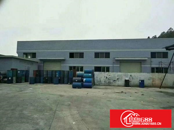 新圩独院钢构厂房1800平米，行业不限