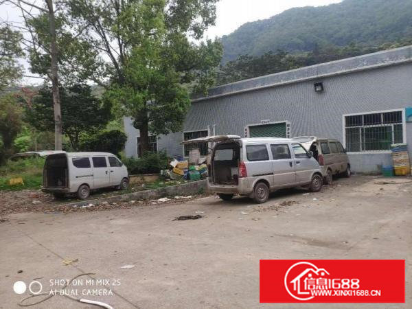 砖墙到顶的铁皮房出租