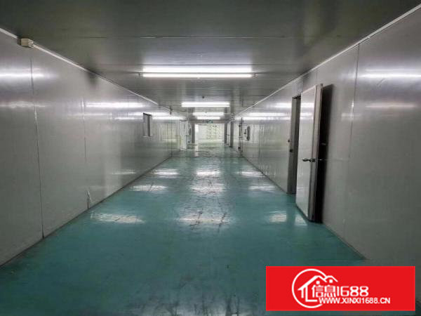 凤岗碧湖大道现成无尘车间2200平方水电齐全入驻即可生产