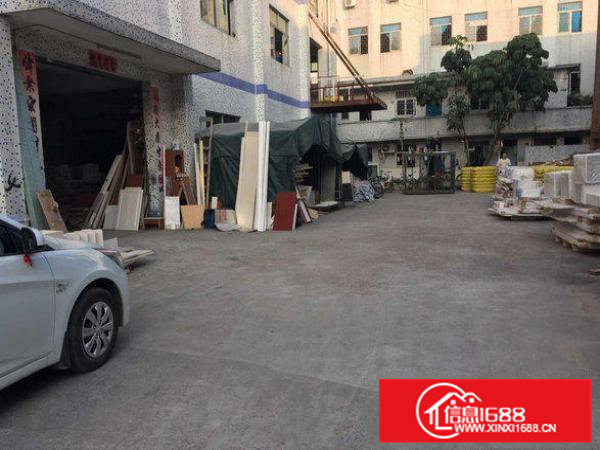 清溪林场原房东一楼1000平方米