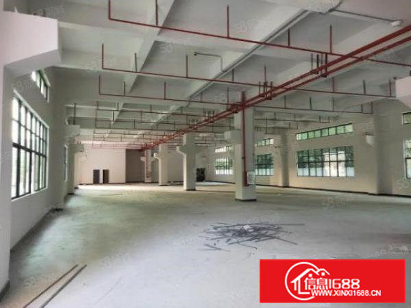 凤岗金凤凰新出5米高一楼800平方出租