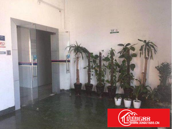 出租龙岗区龙城厂房5楼550平方厂房业主直租