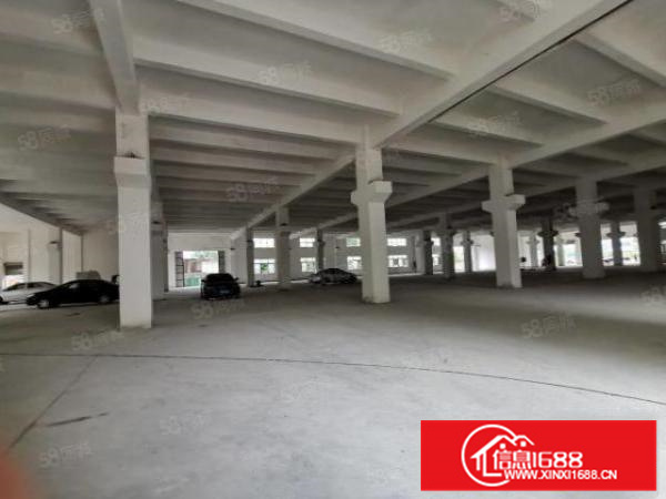 乐从良村工业区三乐路边标准厂房带牛角