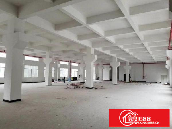 常平分租一楼整层2000平方