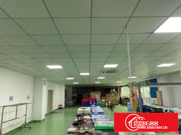 独门独院，无尘厂房出租