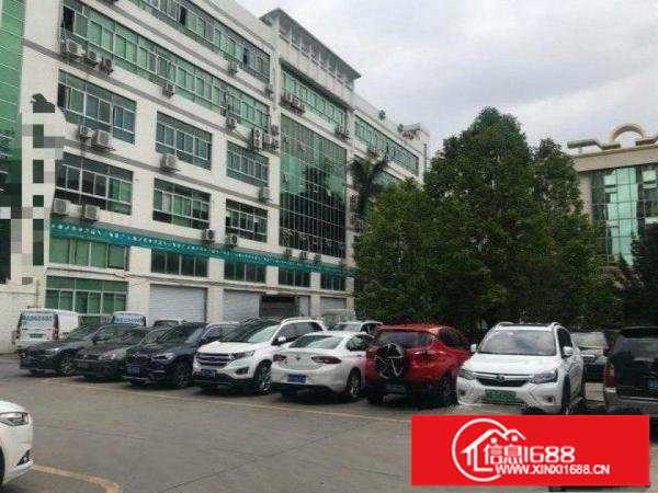 坂田花园式一楼厂房3600平，层高6米，900平起分租