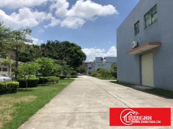 渔梁围独栋厂房出租豪华装修水电到车间