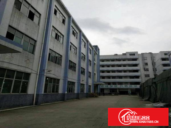 惠阳新圩标准厂房6500平方出租，带装修