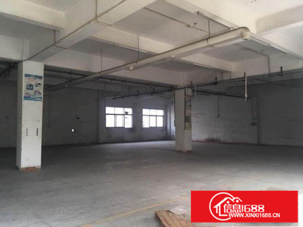 【~塘厦大坪1000平米独院一楼厂房，水电路齐，挨科苑城~】