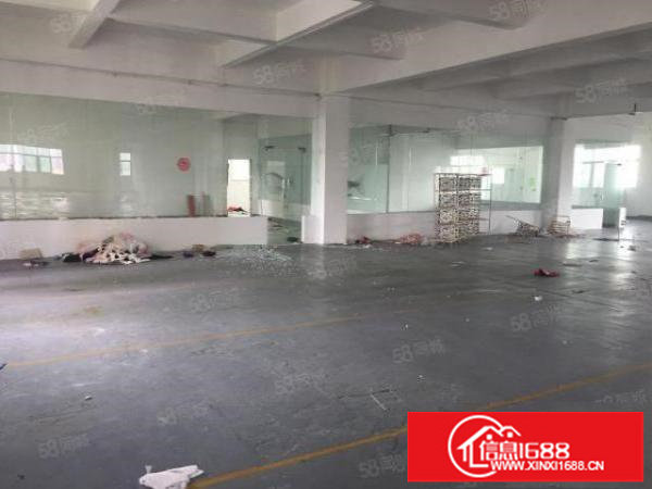 杨美路，新出原房东2000平，零公摊，可以分，租金26