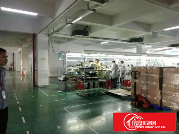 花园式。。塘厦临深工业园4200平方米。。独栋标准厂房招租