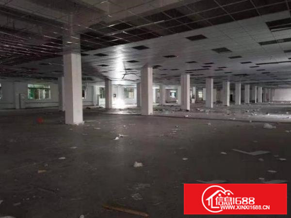 清溪镇大主干道旁空出原房东一楼厂房分租实际面积