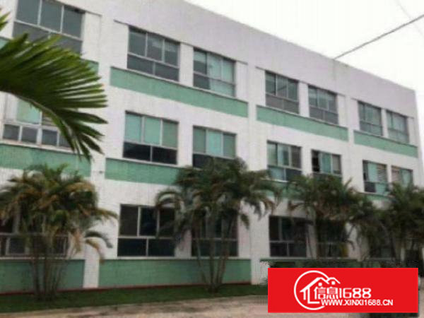 高埗独院厂房分租一楼带牛角1600平方厂房出租