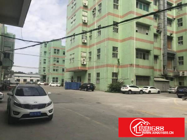 布吉上李朗科技园15层14000平方厂房出租