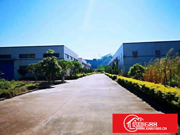 横岗六约仓库物流厂房12000平，大小分租，带卸货平台