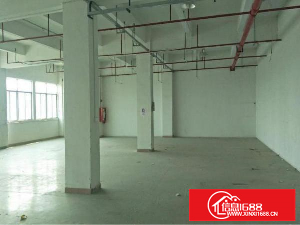 新墟24300平独院，带精装修，可做污染行业