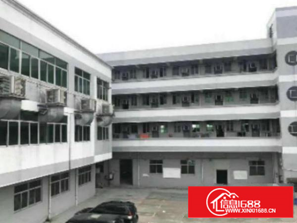 万江独院标准厂房3层1500平方出租