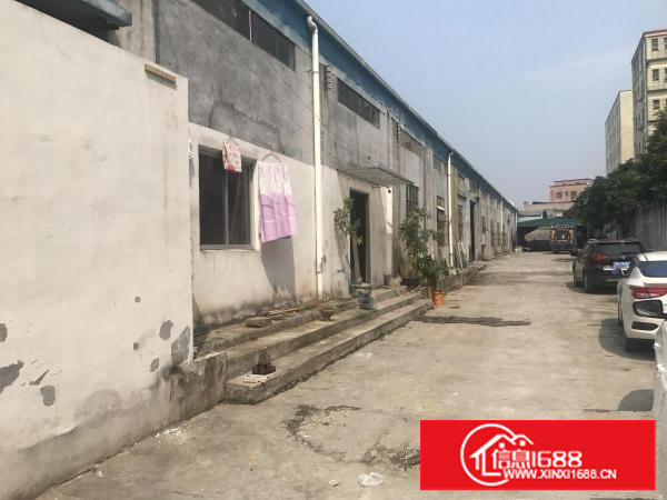 塘厦高桥路1000平方厂房有独立办公室拎包即生产烂白菜价