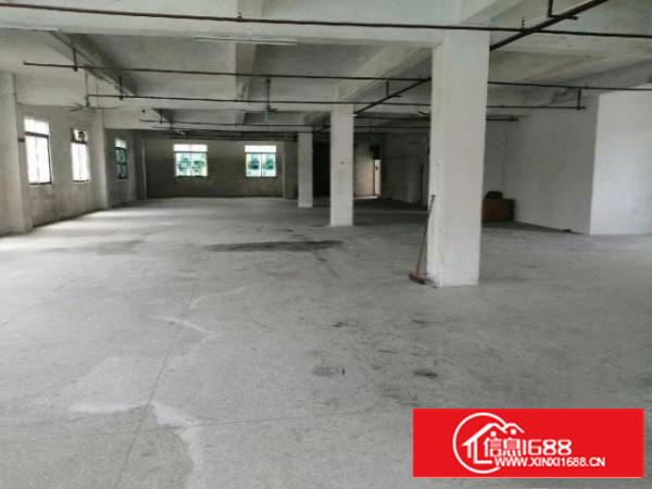 万江独门独院厂房4500平方出租