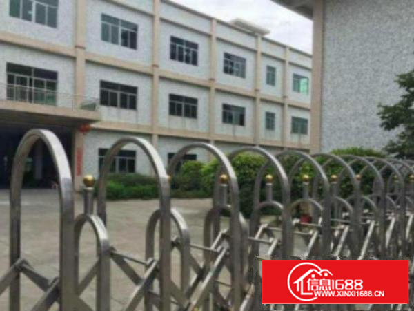 万江标准厂房一楼1500平方形象好急租空地大，水电线路齐全，