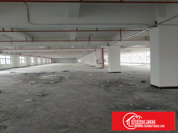 塘厦大坪新建独院厂房20000平，可整租，可分租