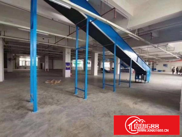 超大型园区新出整层5000平、可分租