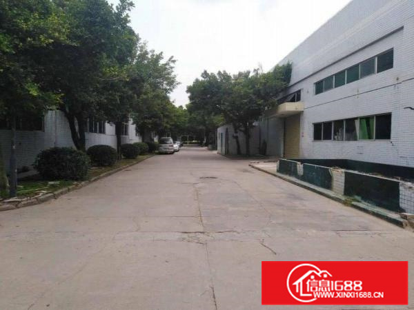 原房东全新带红本钢结构厂房出租