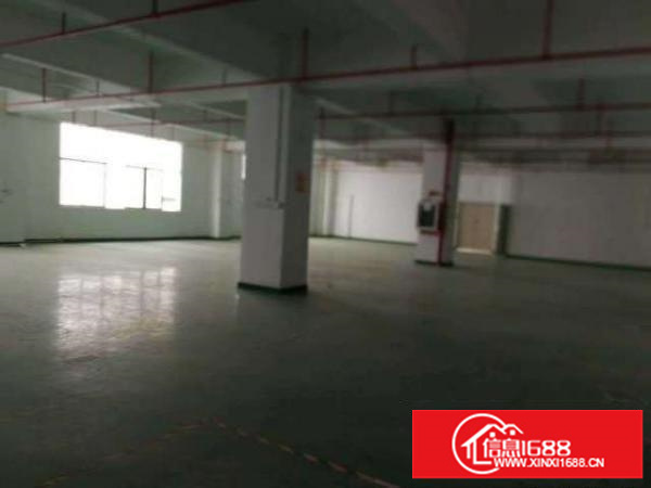 大浪新百丽旁新出一楼500平仓库空地大招租