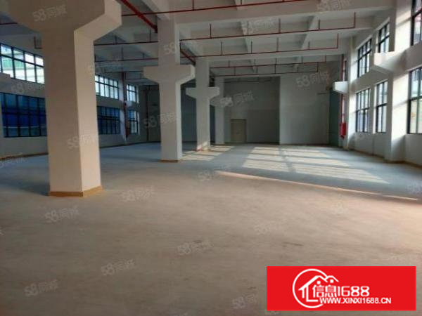 凤岗全新独院厂房出租4000平可办环评一楼6.5米带牛角