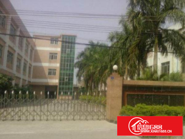 万江1500平米一楼标准厂房出租，水电齐全空地集中，有部分绿