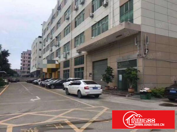 拎包入住，带喷淋消防石排镇新出独院标准厂房1000平米招租