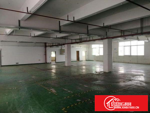 可做丝印等污染行业大岭山镇工业园出租楼上800平厂房