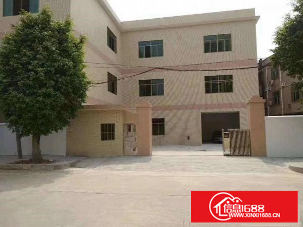 宵边小独栋厂房带豪华办公室装修